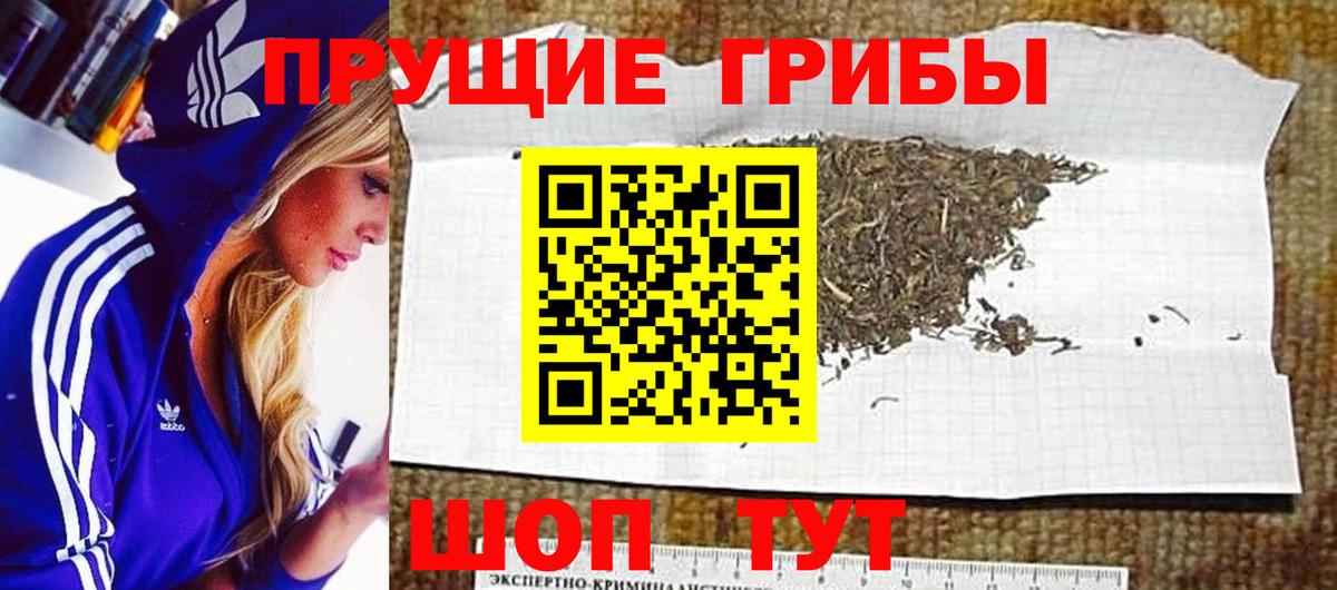 Галлюциногенные грибы мухоморы Дедовск