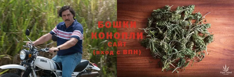 omg   Дедовск  Марихуана OG Kush 